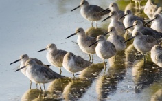 Willets1920x12004-10-2012 3_25_17 PM Bing Desktop